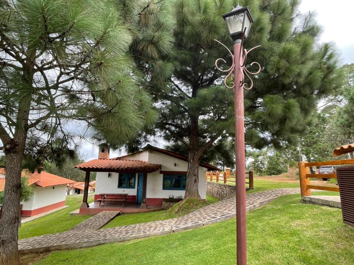 Mazzatl 6 Pax * Mazamitla
